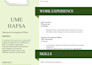 write a professional resume and cover letter